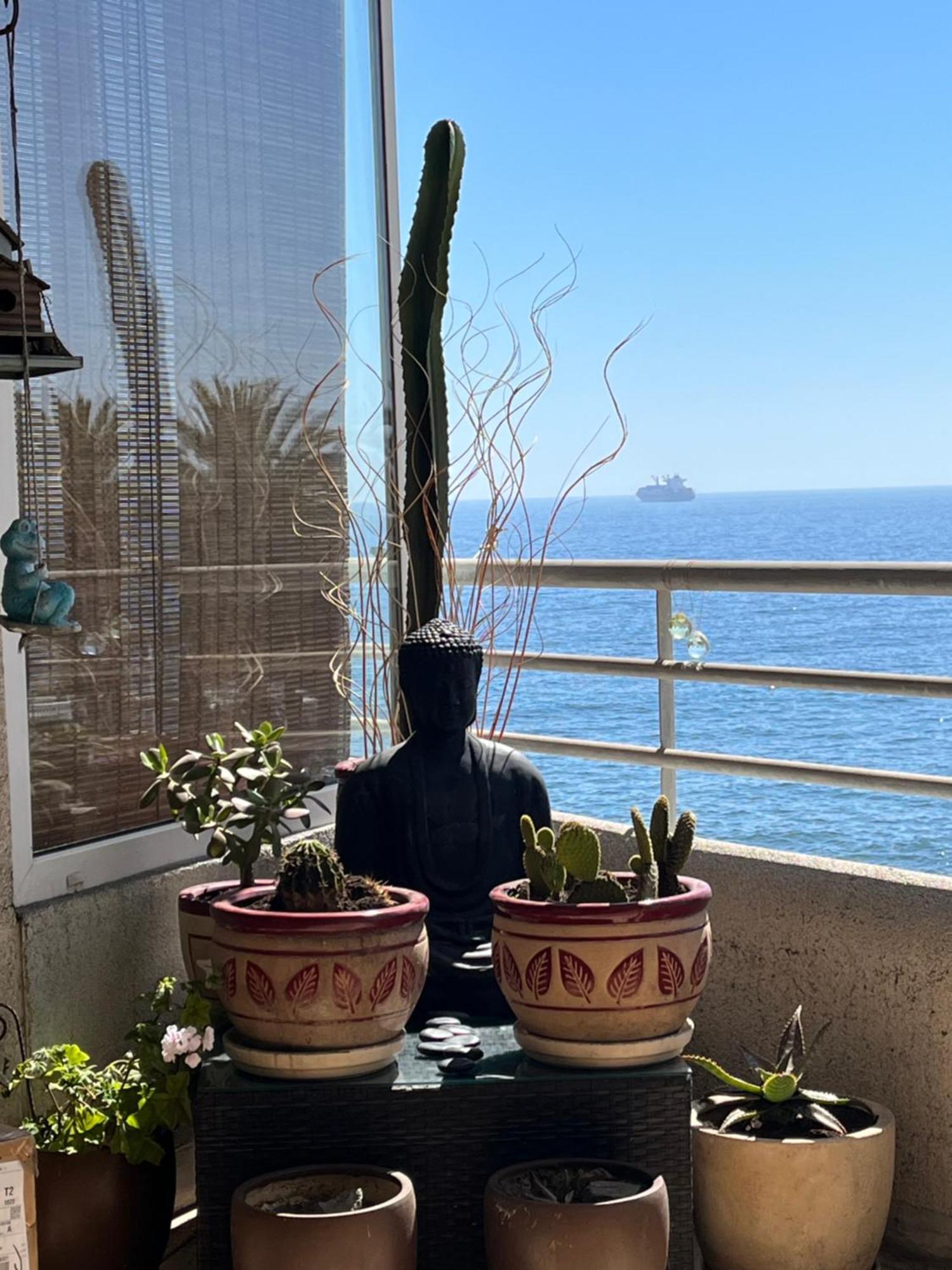 The View To The Pacific Ocean Apartamento Vina del Mar